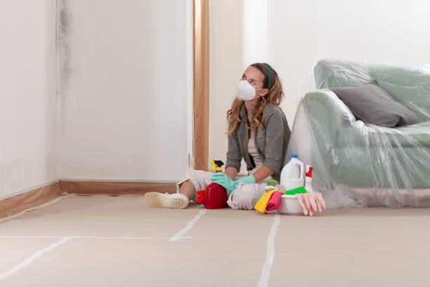 Reliable Mold Cleanup contractor in Dimondale, MI by Cheap Mold Removal